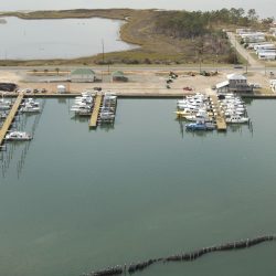 Dauphin Island Marina