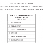 Charlotte Meadows, Michael Fritz In Runoff For District 74 GOP Nomination