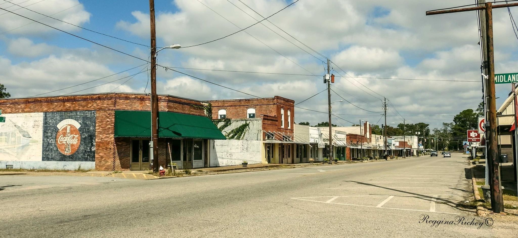Ashford, Alabama Information Bama Politics