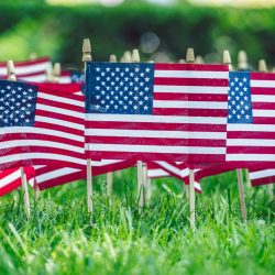 American flags on green grass close up