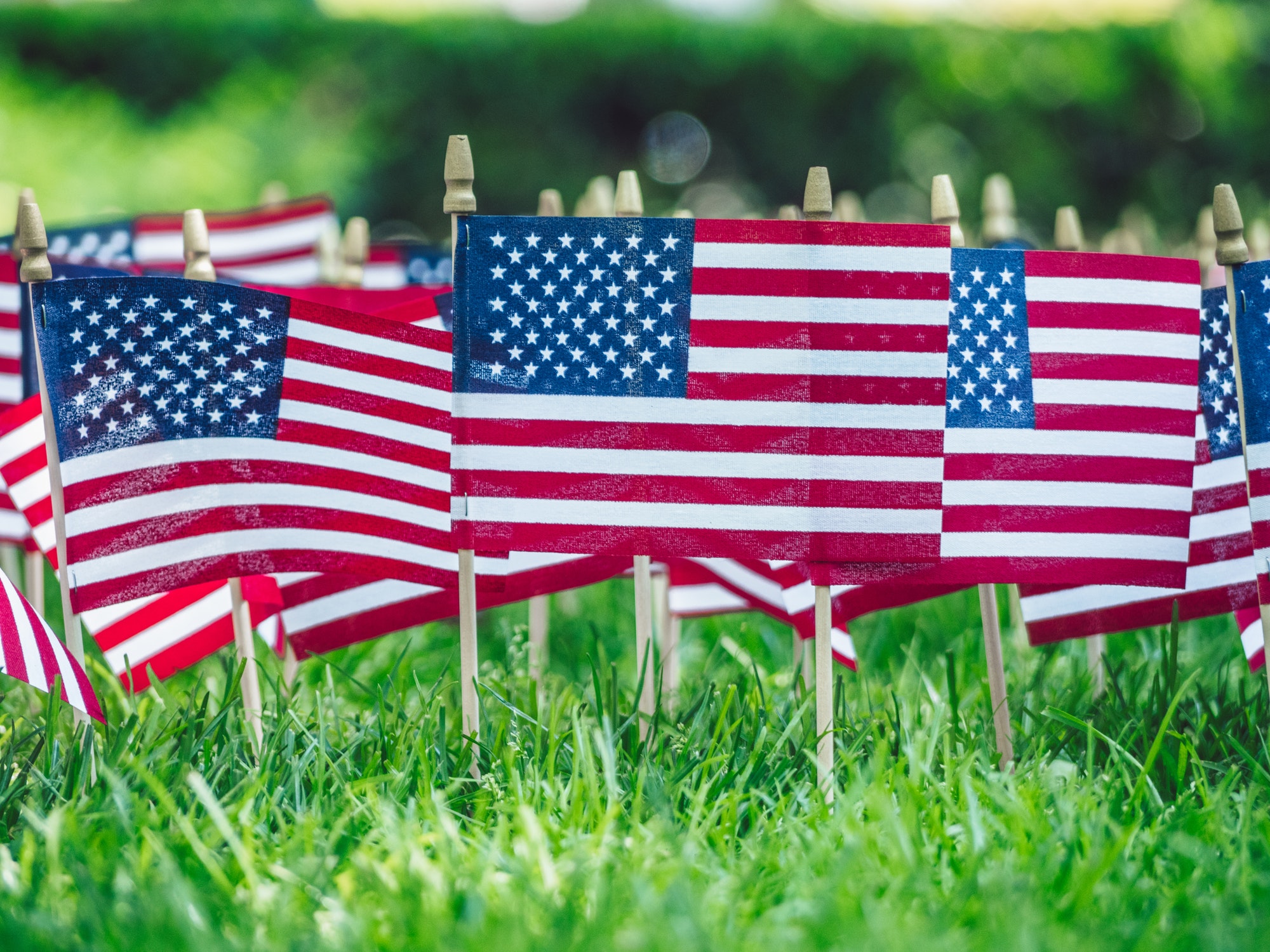 American flags on green grass