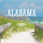 Why I Am Supporting Pete Buttigieg In Alabama
