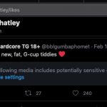 Tom Whatley Screenshots of Twitter account showing he liked a Tweet posted by Transgender