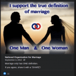 Lee Sims from Guntersville, AL shares a post against same-sex marriage.